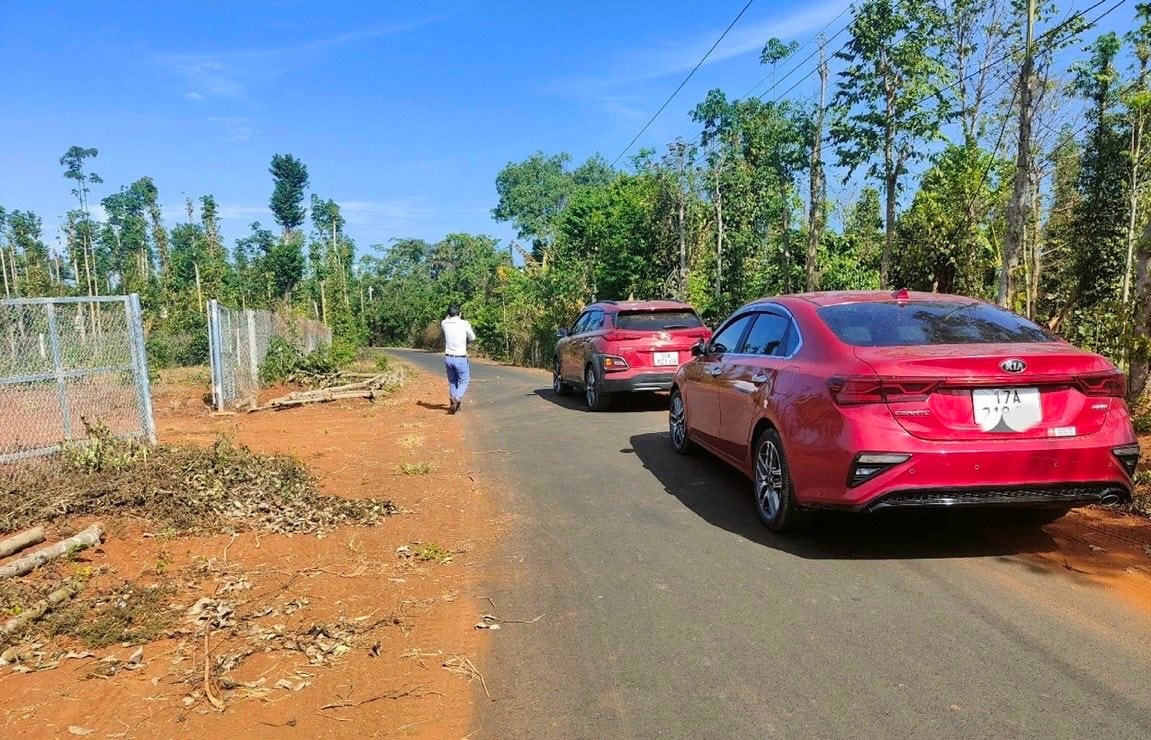 Bất động sản Củ Chi, Hóc Môn, Cần Giờ những ngày cận Tết: Liên tục đón tin vui từ hạ tầng, quy hoạch 1 Bất động sản Củ Chi, Hóc Môn, Cần Giờ những ngày cận Tết: Liên tục đón tin vui từ hạ tầng, quy hoạch