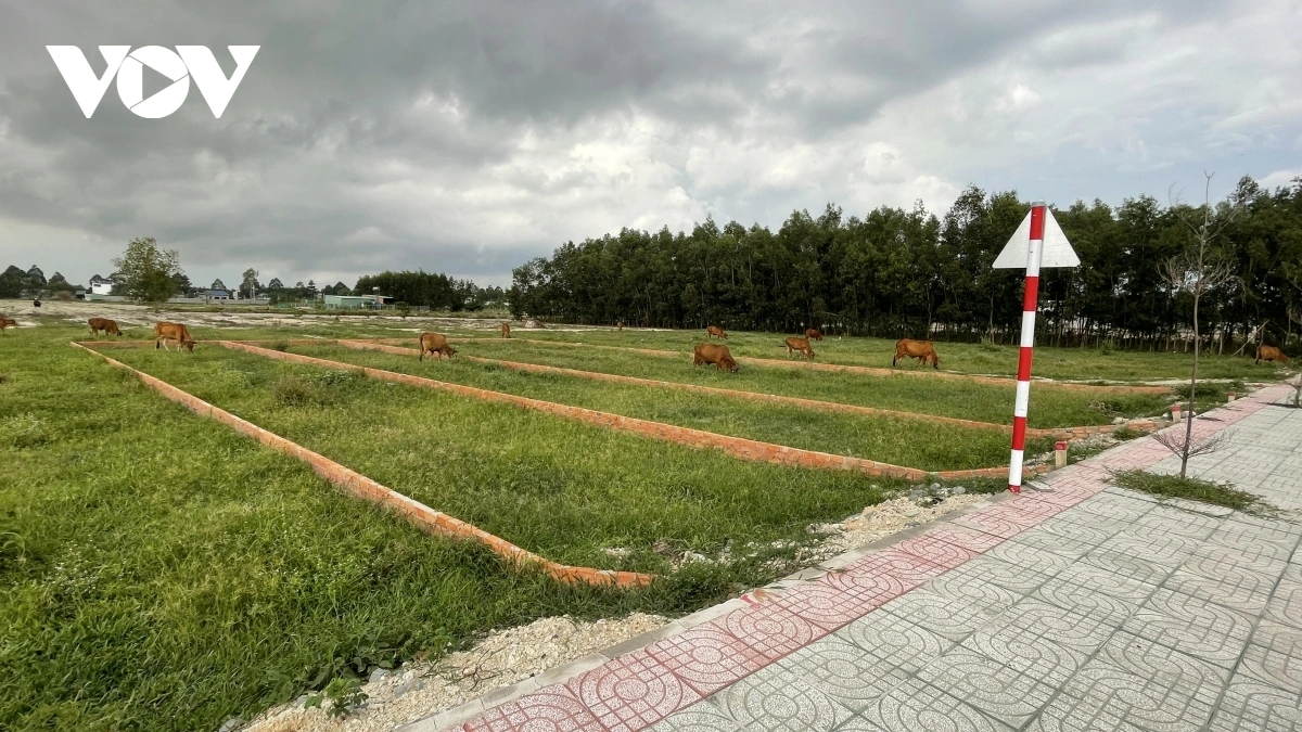 Thị trường bất động sản 2025 với câu chuyện định giá đất 1 Thị trường bất động sản 2025 với câu chuyện định giá đất